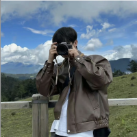 Niuniu NPV for China Ryan Profile